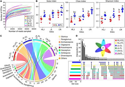 Fallow Land Enhances Carbon Sequestration in Glomalin and Soil Aggregates Through Regulating Diversity and Network Complexity of Arbuscular Mycorrhizal Fungi Under Climate Change in Relatively High-Latitude Regions